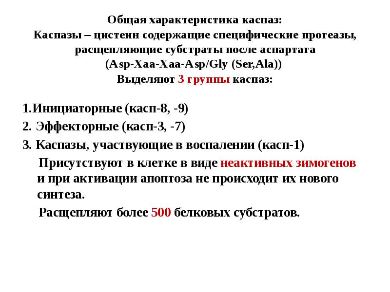 Общая характеристика каспаз: Каспазы – цистеин содержащие специфические протеазы, расщепляющие субстраты