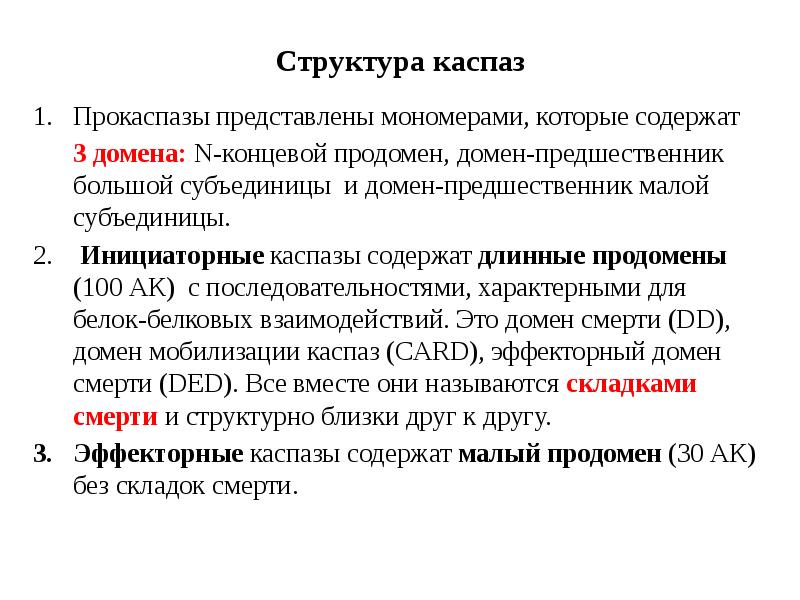 Структура каспаз Прокаспазы представлены мономерами, которые содержат    3