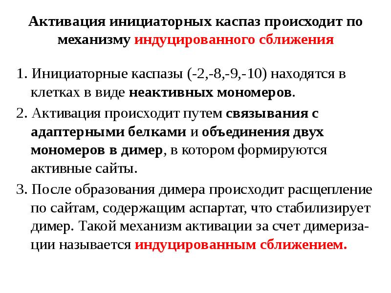 Активация инициаторных каспаз происходит по механизму индуцированного сближения 1. Инициаторные каспазы