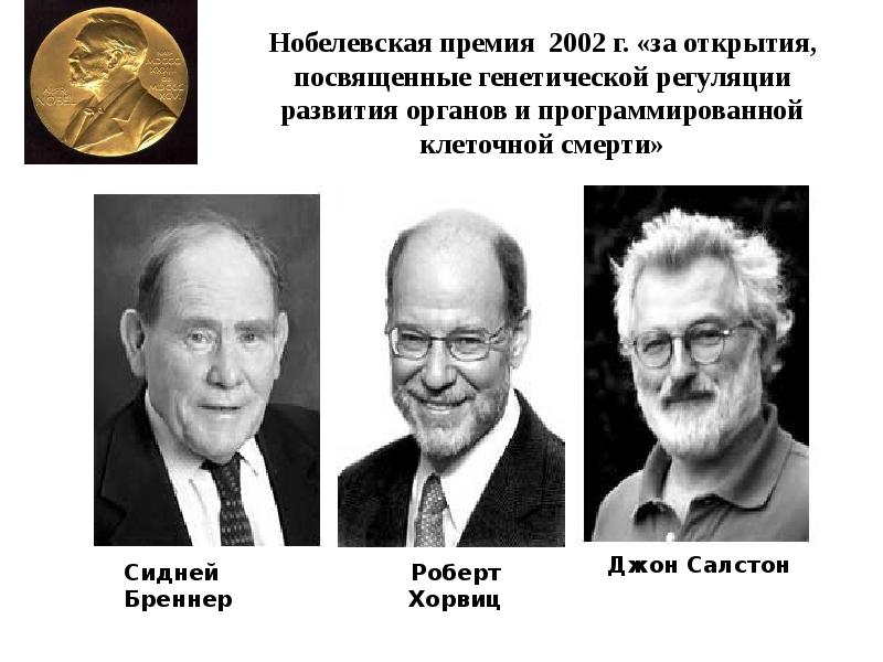 Нобелевская премия 2002 г. «за открытия, посвященные генетической регуляции развития органов