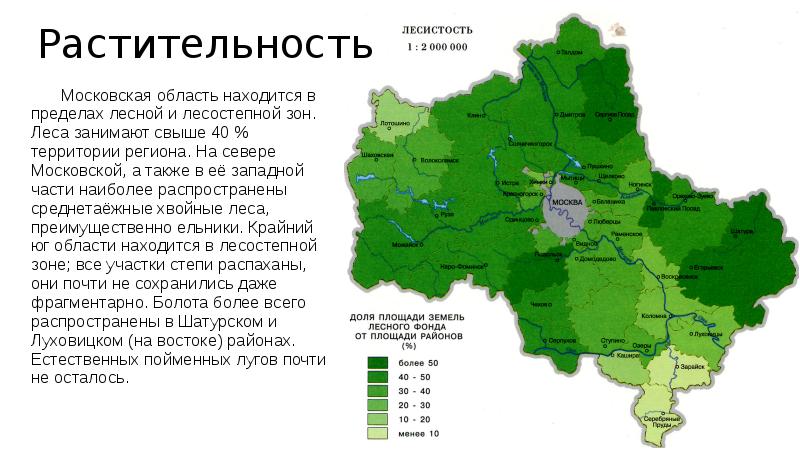 Хвойные леса в подмосковье карта