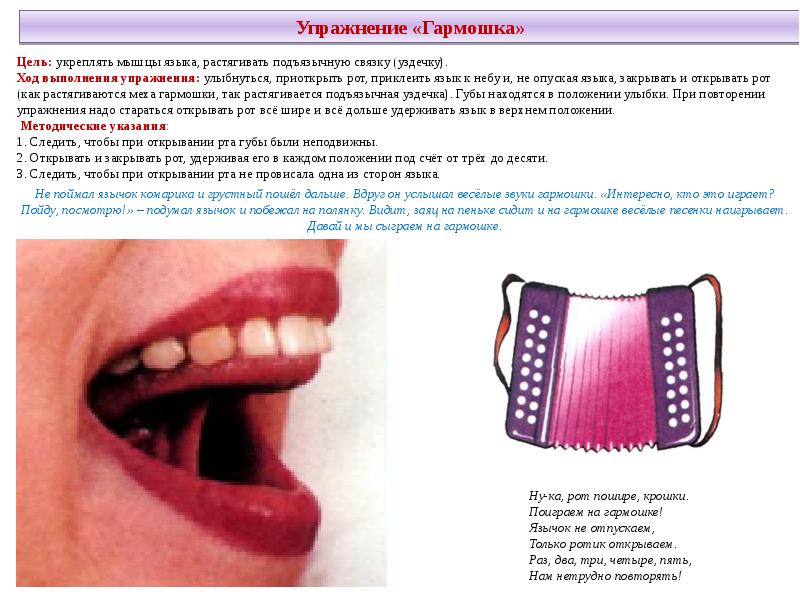 Артикуляционная гимнастика гармошка в картинках