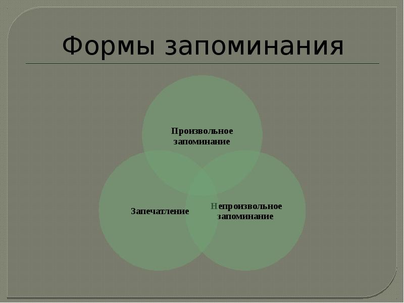 Познавательные процессы память презентация