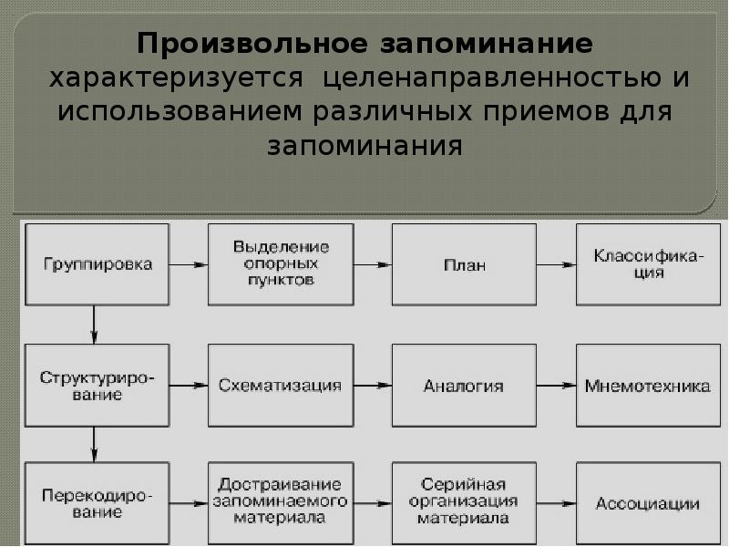 Познавательные процессы память презентация