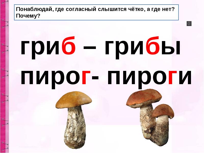 Слово гриб сколько букв. Звук на конце слова гриб. Гриб какой парный согласный звук на конце. Грибы в слове есть буква р.