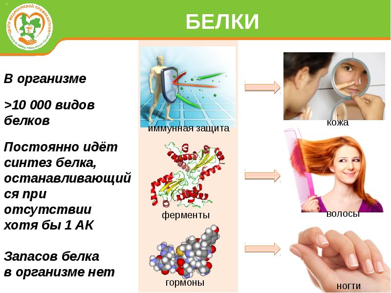 Запас белков. Ферменты кожи. Энзимы для кожи. Как работают энзимы в коже. Иммунная защита белками.