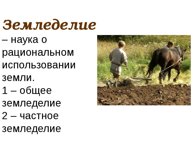 Основные земледелия. Загадки про земледелие. Земледелие это наука. Цитаты о земледелии. Пословицы о земледелии.