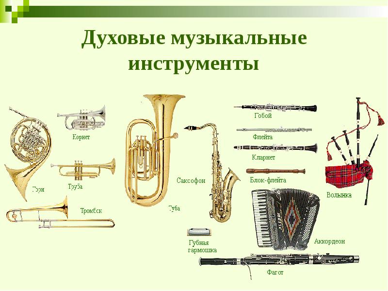 Духовые музыкальные инструменты Духовые музыкальные инструменты