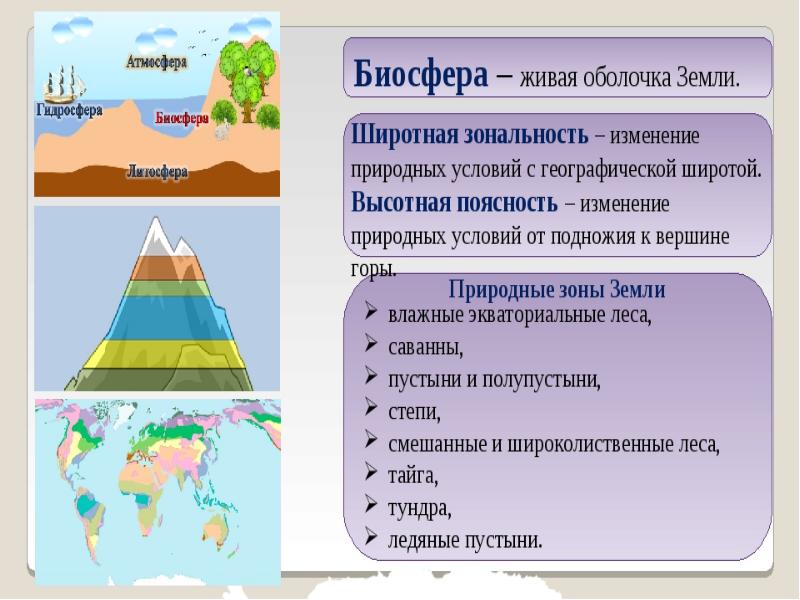 Презентация по географии 6 класс биосфера земная оболочка умк полярная звезда