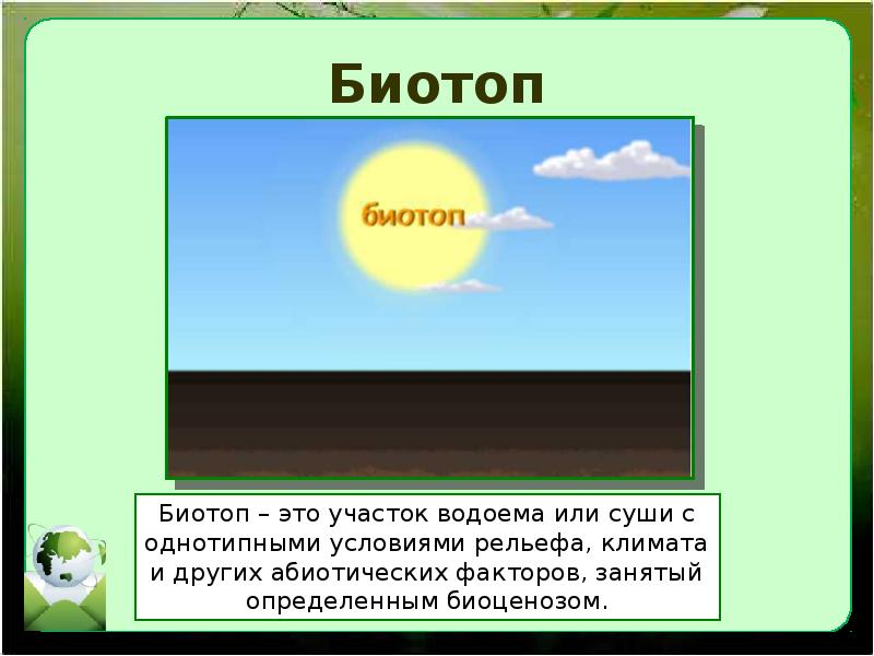 Экологические сообщества 11 класс презентация