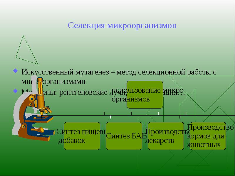 Основы селекции и биотехнологии презентация