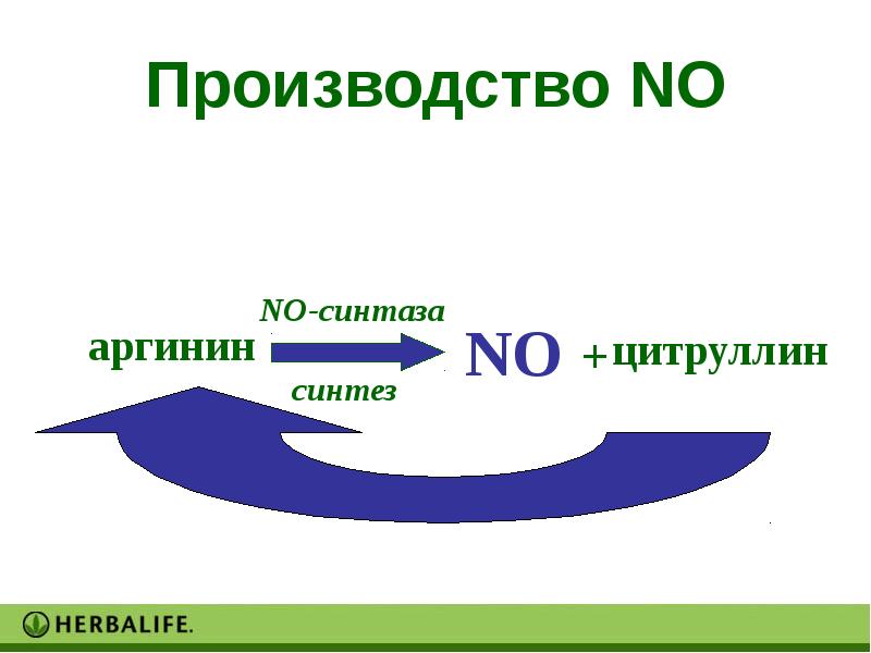 Pp presentation. Синтез no.