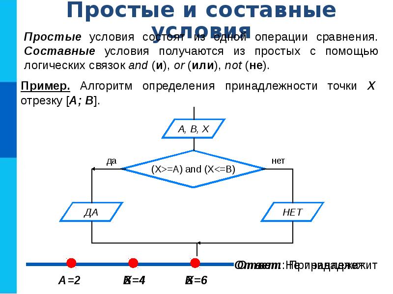 Графическое изображение ветвление