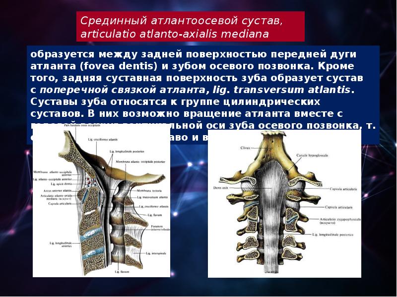 Мр картина асимметрии в атланто аксиальном сочленении