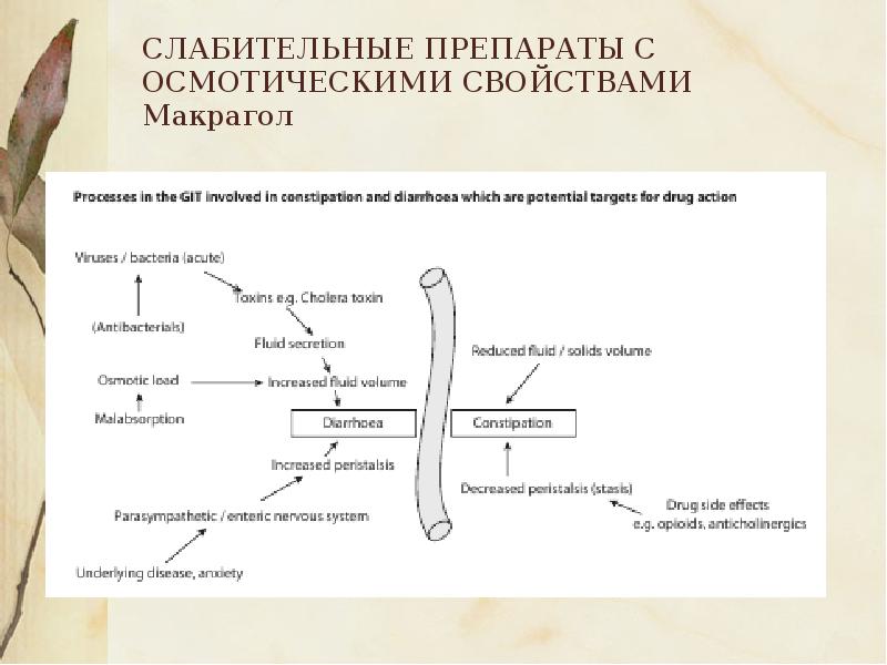 Слабительные препараты презентация