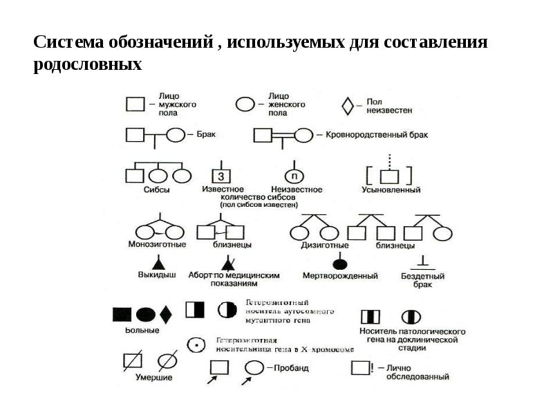 Презентация составление родословных 10 класс