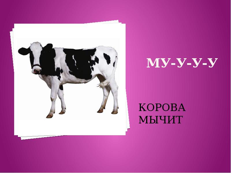 Мычит корова картинки