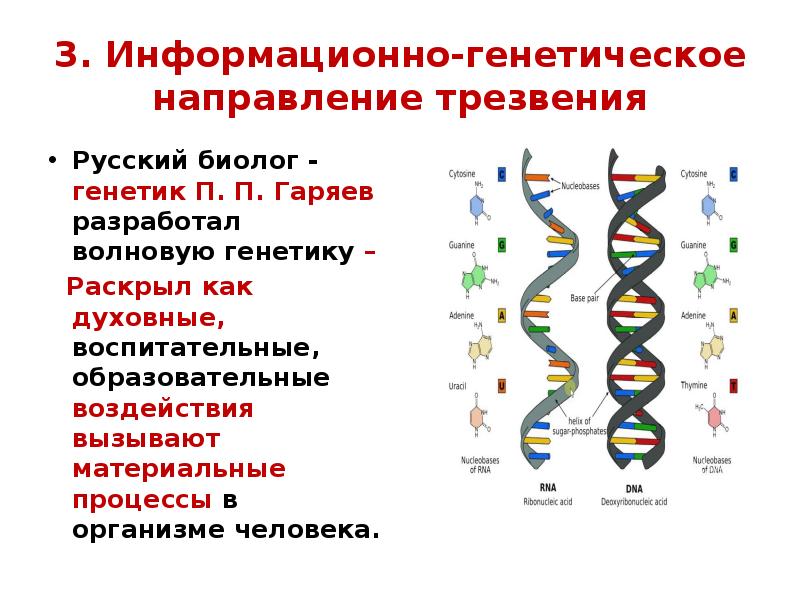 днк красивое. схема генетики и наследственности. петр гаряев волновой геном. генотип человека. цели генетики.