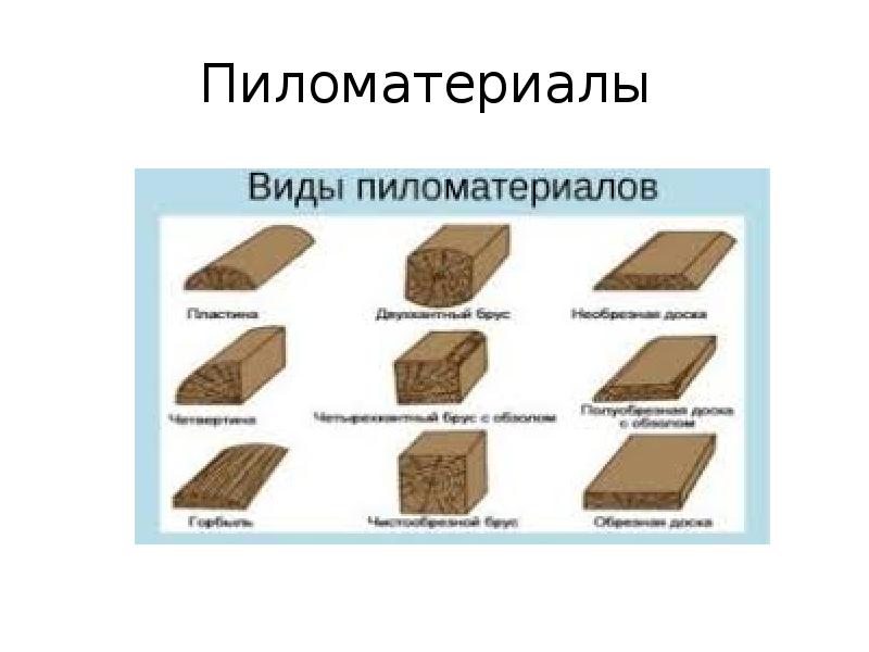 Значение древесины в народном хозяйстве презентация