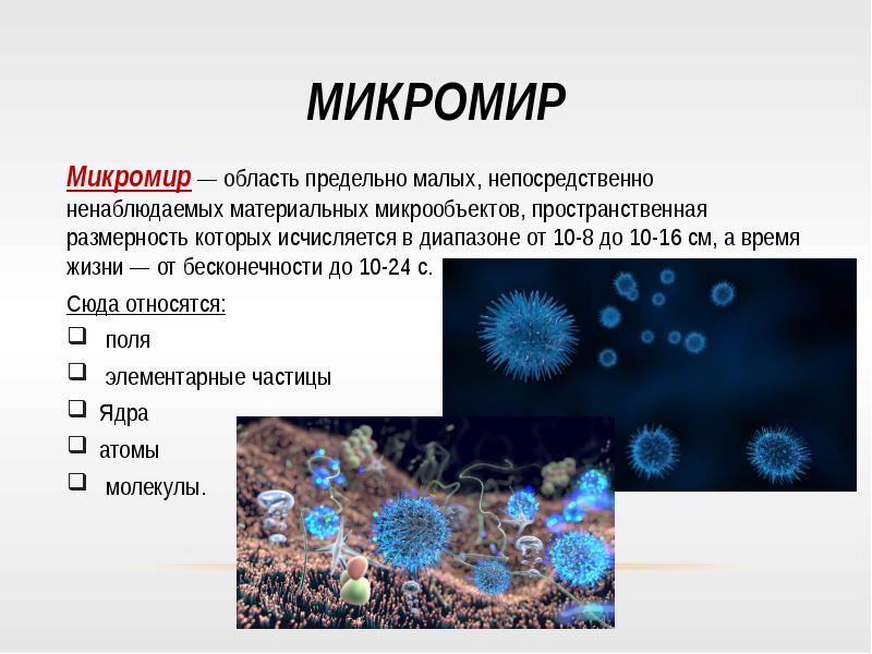 Индивидуальный проект микромир