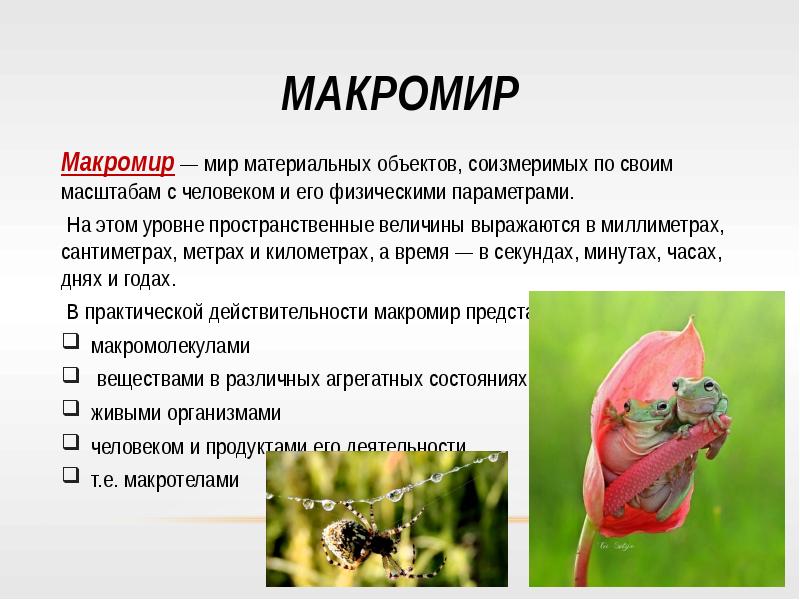 Микро макро среда. Макро и микро параметры. астробластома микро макро препараты.