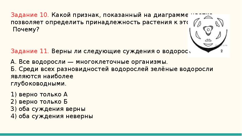 Какой признак показанный на диаграмме цветка позволяет определить