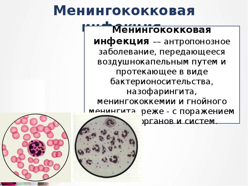 Гнойная менингококковая инфекция