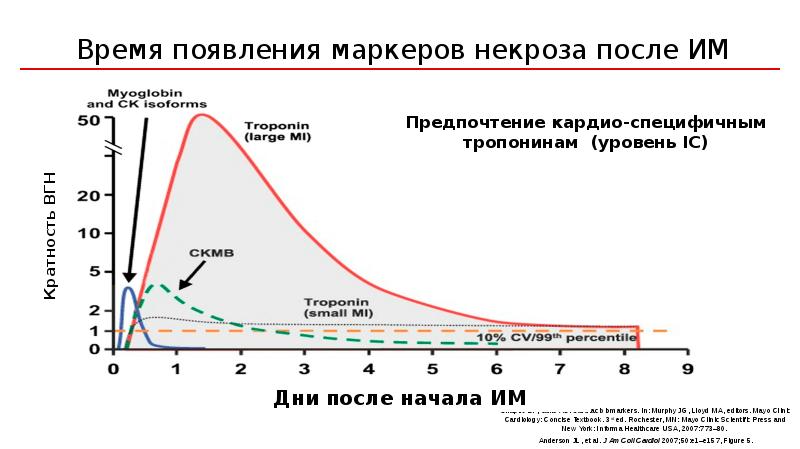 Простейшие время появления. Маркеры некроза кардиомиоцитов. Маркеры некроза миокарда время появления. Биомаркеры некроза миокарда. Динамика маркеров некроза инфаркт.