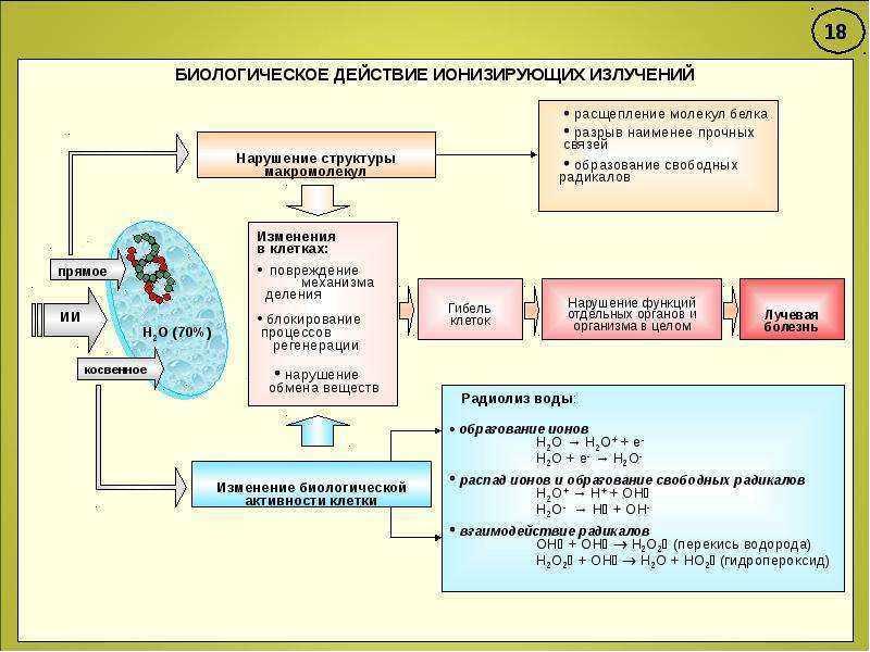 Дополните схему отражающую состав ионизирующего излучения