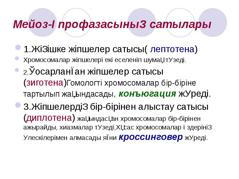 Жасушаның бөлінуі мейоз презентация