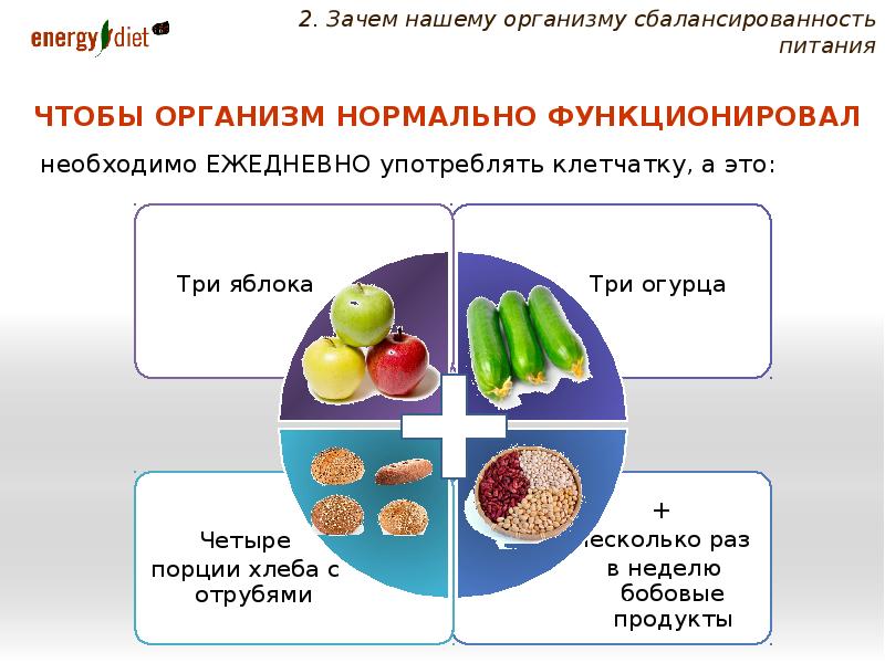 Нормальное функционирование организма. Необходим для нормального функционирования организма. Необходимые компоненты для нормального функционирования организма. Что нужно организму для нормального функционирования. Зачем нашему организму питание.