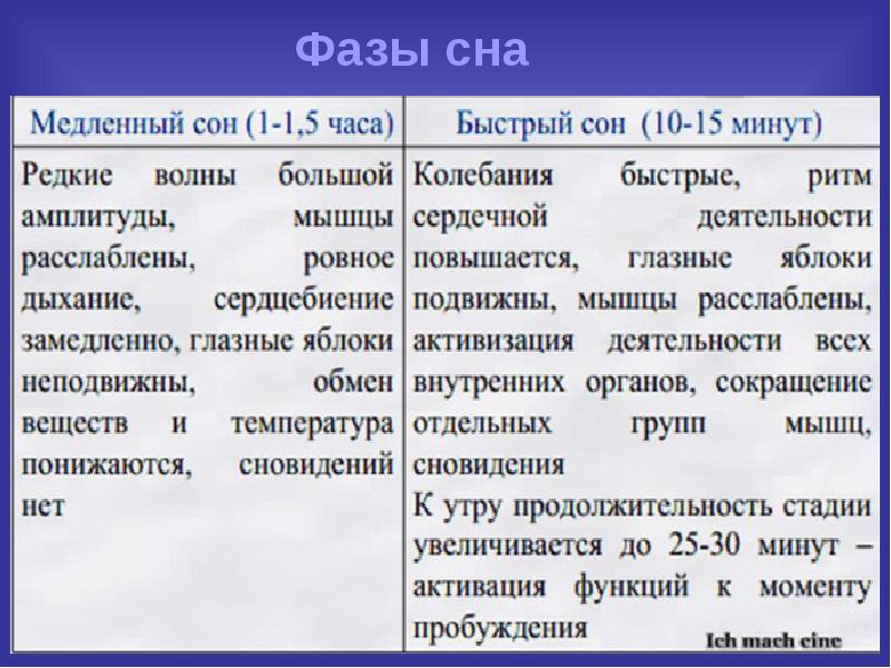 Стадии сна картинки