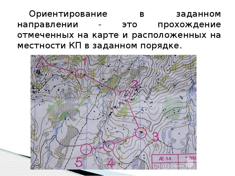 В заданном порядке. Ориентирование в заданном направлении. Карта для ориентирования на местности. Спортивное ориентирование в заданном направлении. Ориентирование на местности заданное направление.