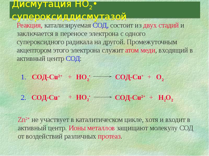 Радикал и другие. Дисмутация. Дисмутация супероксидного радикала. Супероксиддисмутаза для презентации. Супероксиддисмутаза реакция.