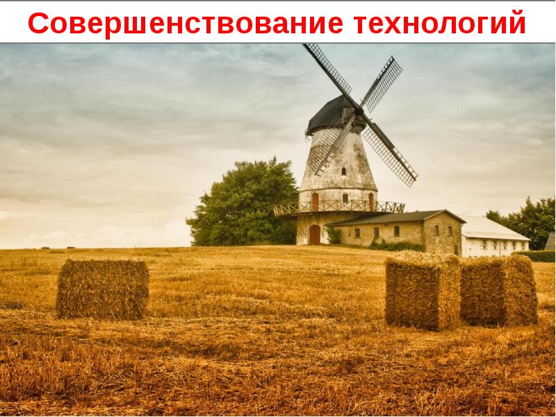 Общество и природа проект