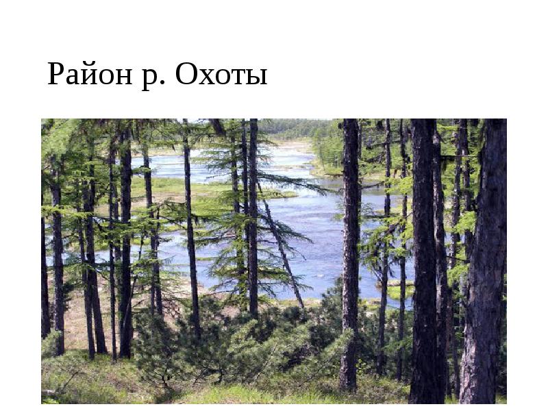 Район р. Охоты Район р. Охоты