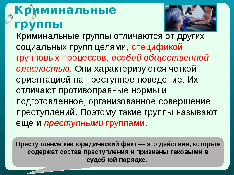 Преступное поведение