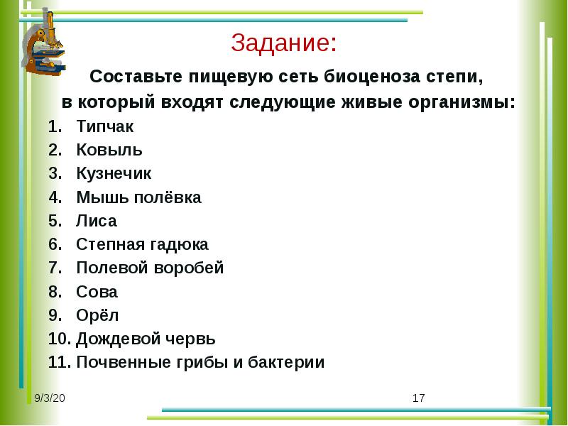 Войти следующее. Пищевая сеть биоценоза степи. Биология задачи составление питание. Типчак ковыль кузнечик мышь полевка лиса Степная гадюка. Составьте пищевую цепь биоценоза степи в которую входят.