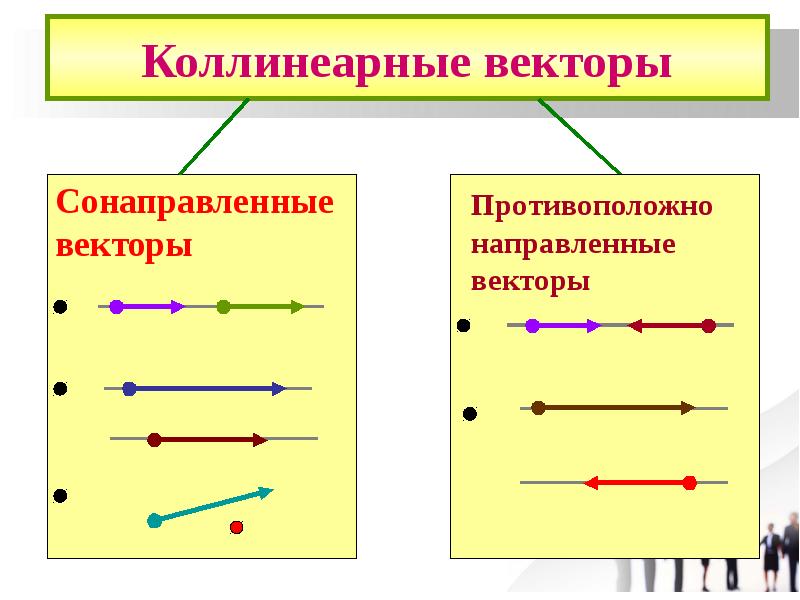 Коллинеарные векторы картинки