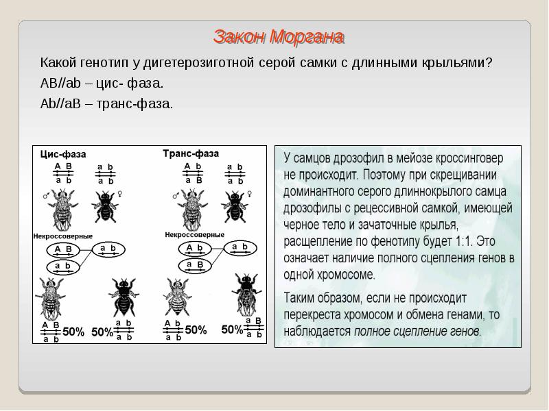 Закон моргана схема