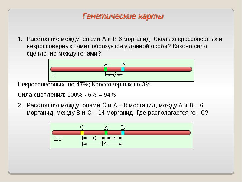 Решение задач на сцепленное наследование презентация