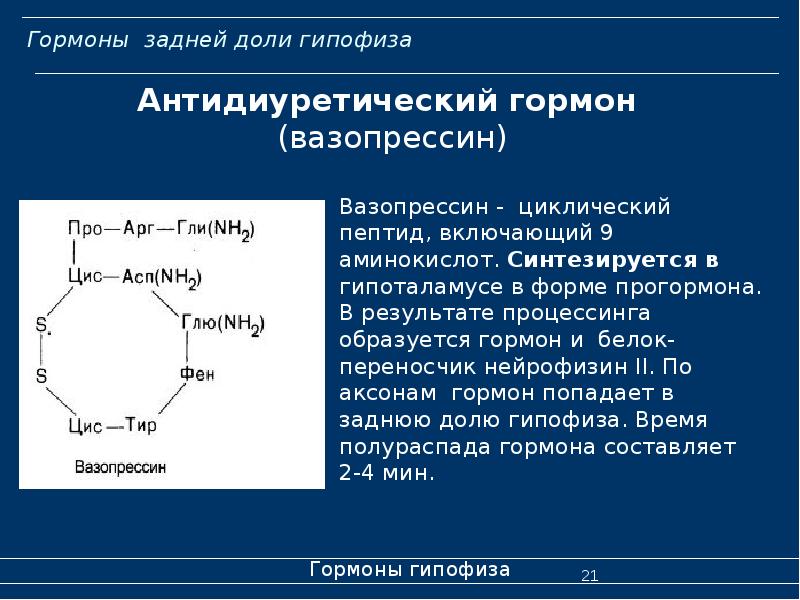 Гормон вазопрессин презентация