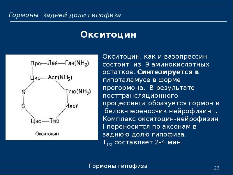 Окситоцин презентация биохимия