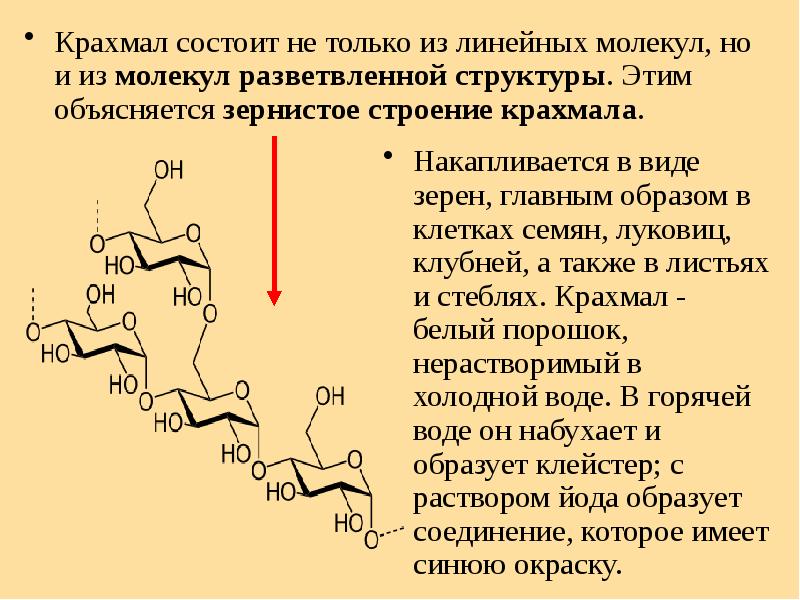 Крахмал состоит из остатков