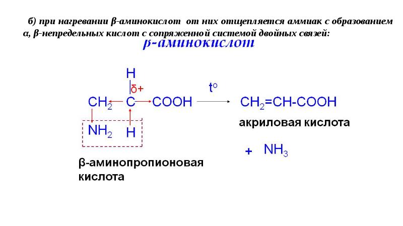 Аминокислоты и белки презентация