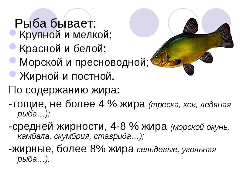 На рисунке изображены треска и окунь длина трески 20 см какова примерная длина окуня