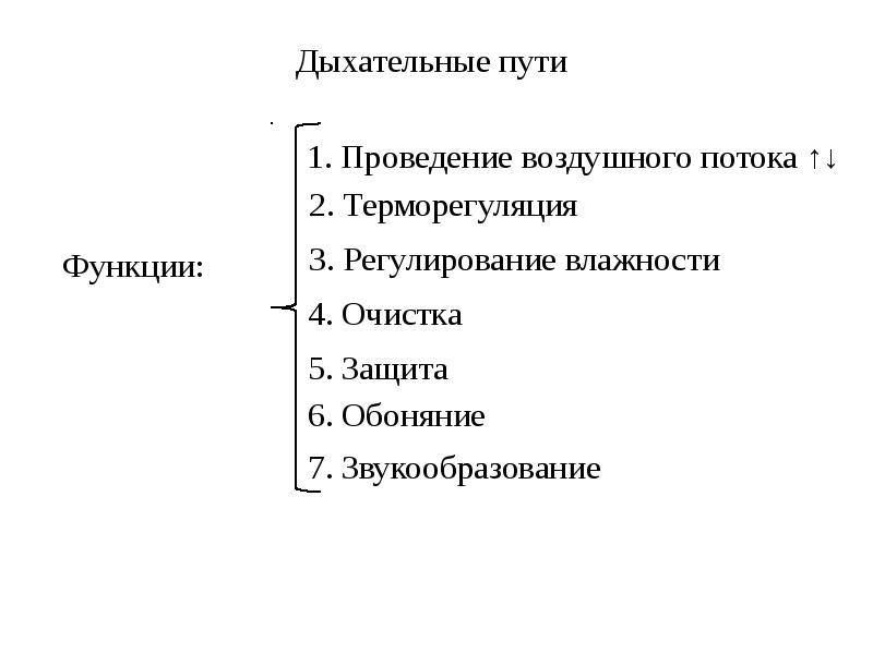 Путь функции