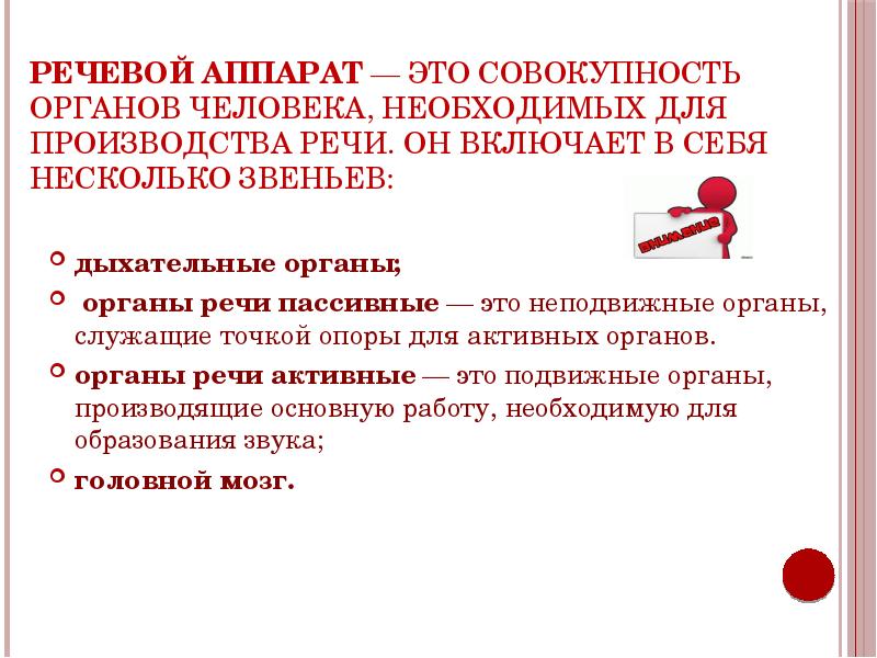 Что относится к речевому аппарату. Строение речевого аппарата. Строение и функции центрального отдела речевого аппарата. Строение центрального отдела речевого аппарата схема. Центральные нарушения речи.
