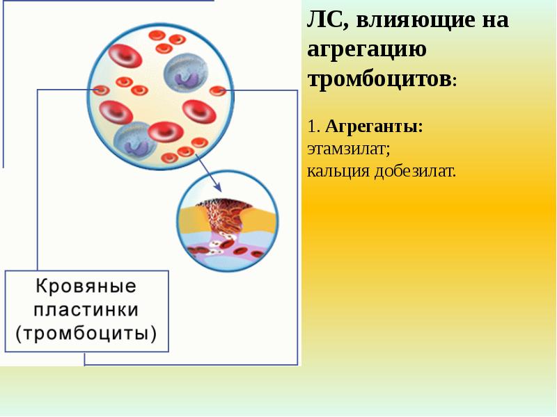 Презентация лекарственные средства влияющие на систему крови