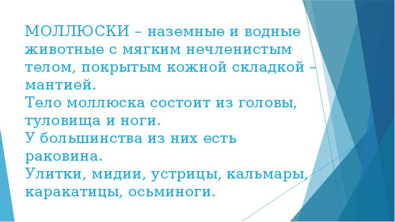 Мягкое нечленистое тело. Тело моллюска мягкое и нечленистое. Туловище покрыто мантией. Тело моллюска мягкое и нечленистое правда ли.